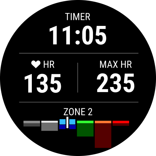Garmin Blaze