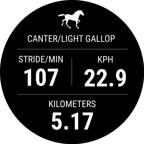 Garmin Blaze