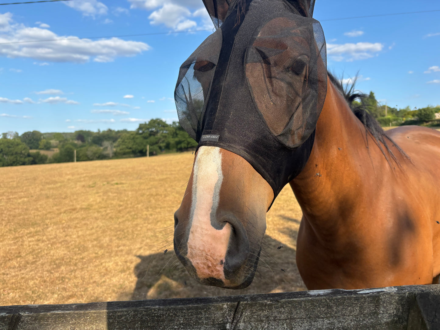 Zilco Lycra Fly Mask