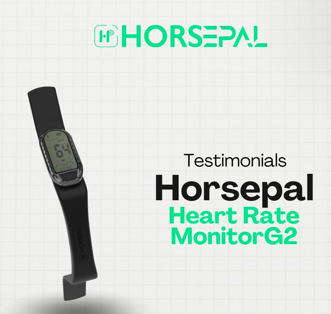 Horsepal Heart Rate Monitor Training Kit