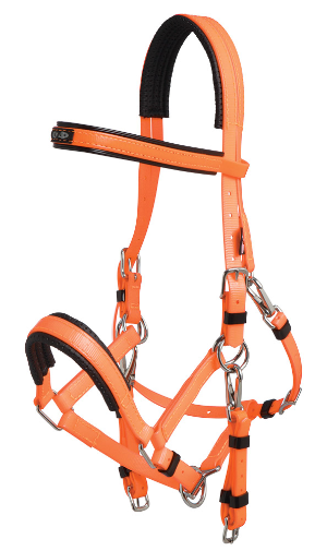 Zilco Marathon Bridle - Arab