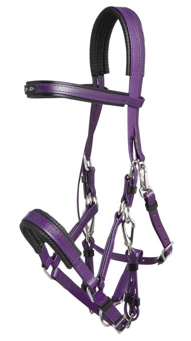 Zilco Marathon Bridle - Arab