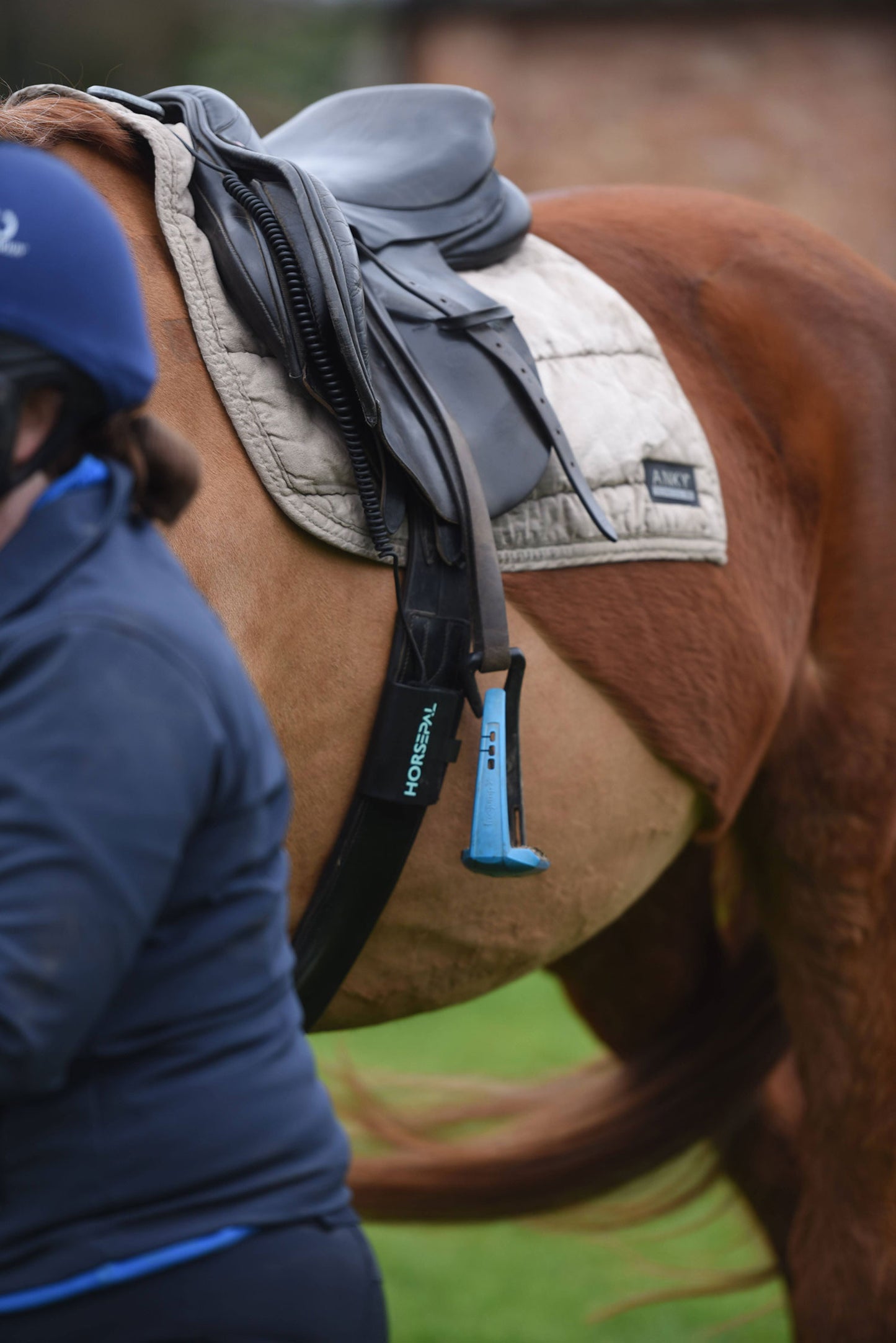 Horsepal Training Kit