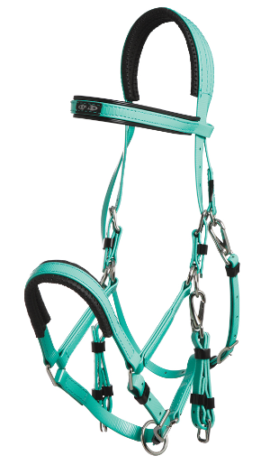 Zilco Marathon Bridle - Arab