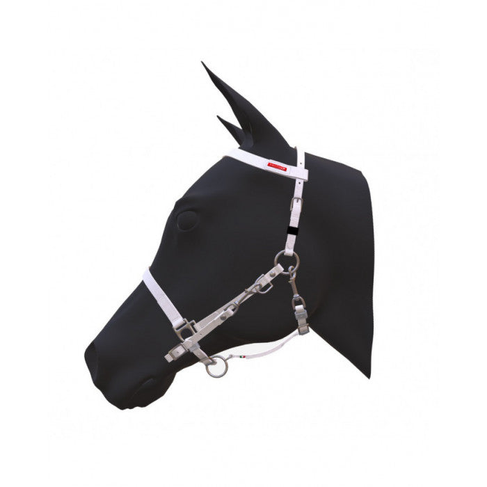 Equitime Handy Model Bridle