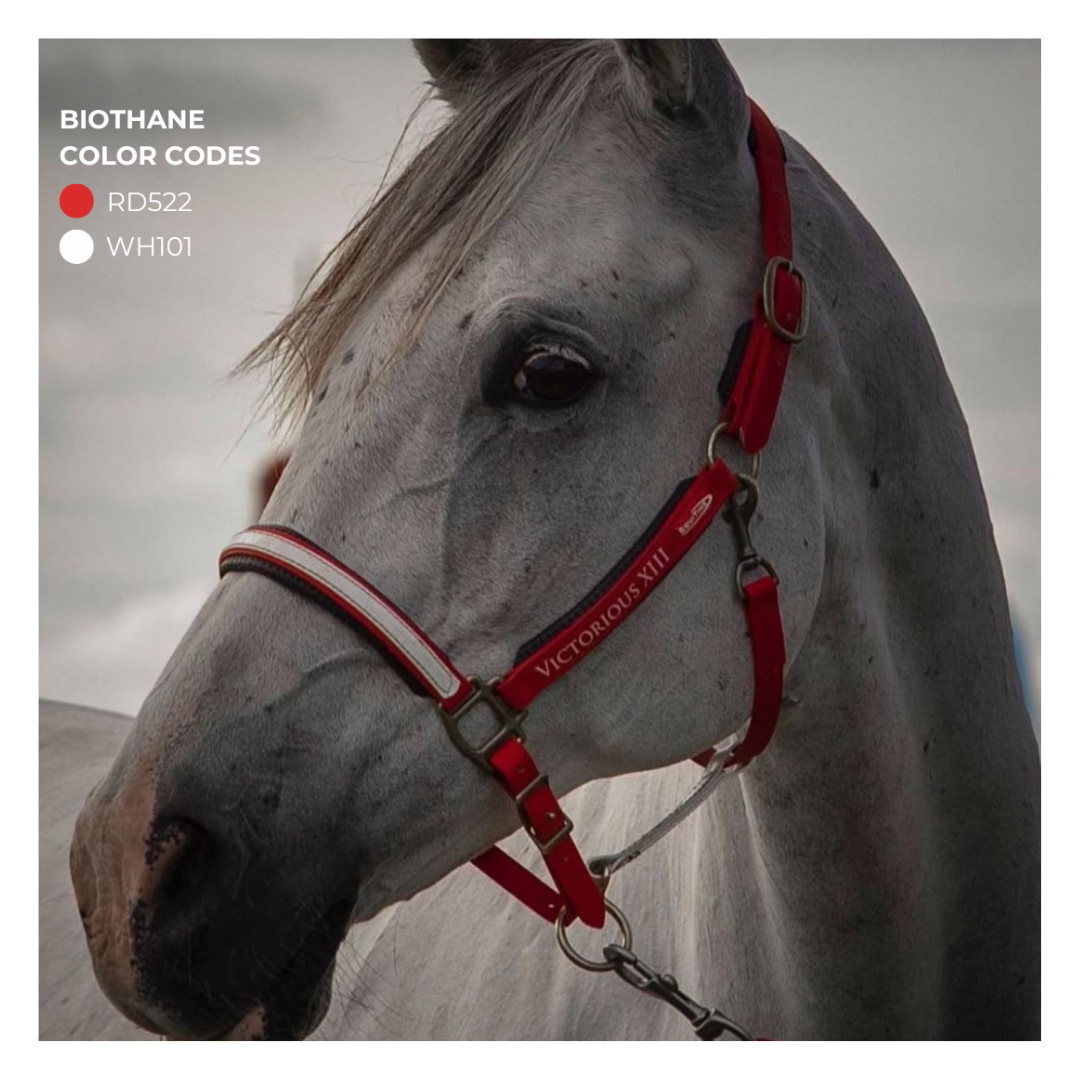 Equitime Biothane Halter