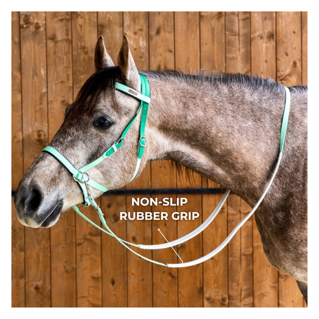 Equitime Biothane Reins