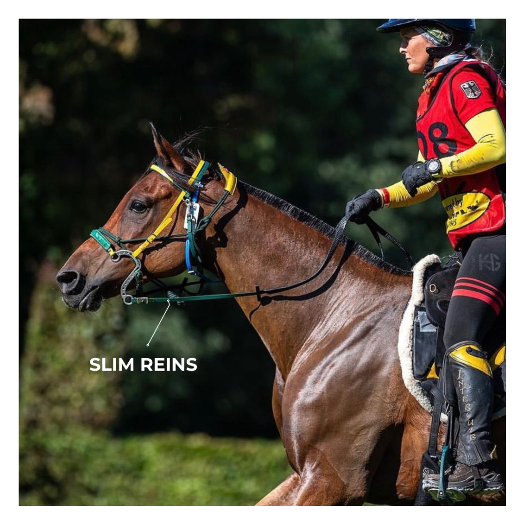 Equitime Biothane Reins
