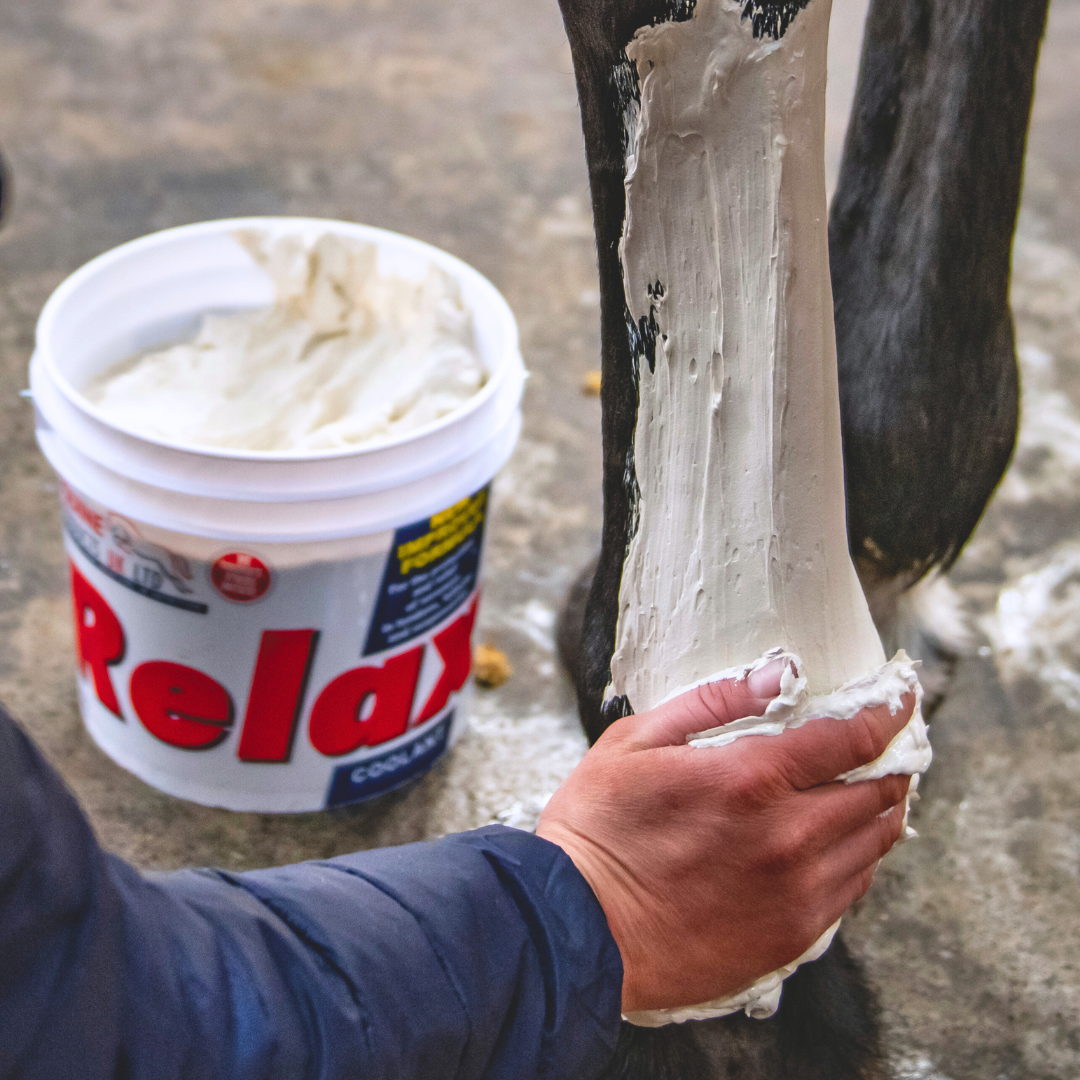Equine Products UK RELAX Leg Coolant Clay