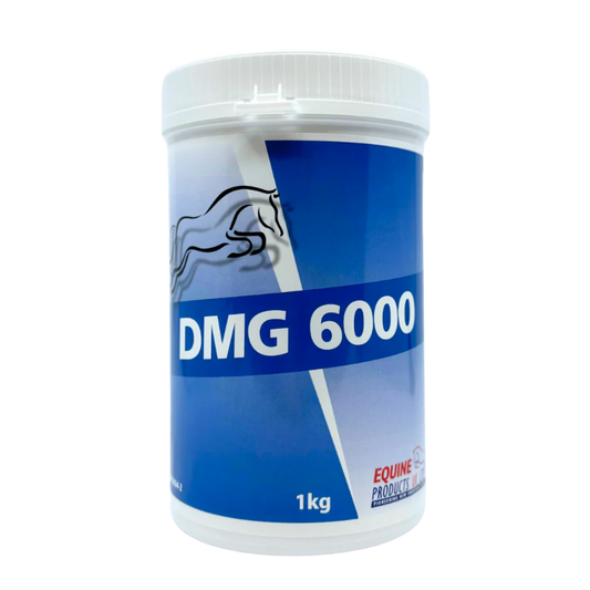 Equine Products UK DMG 6000 1KG 1kg / 17 days supply*