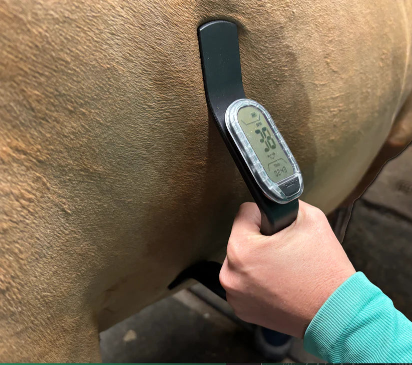 Horsepal Handheld and Monitor