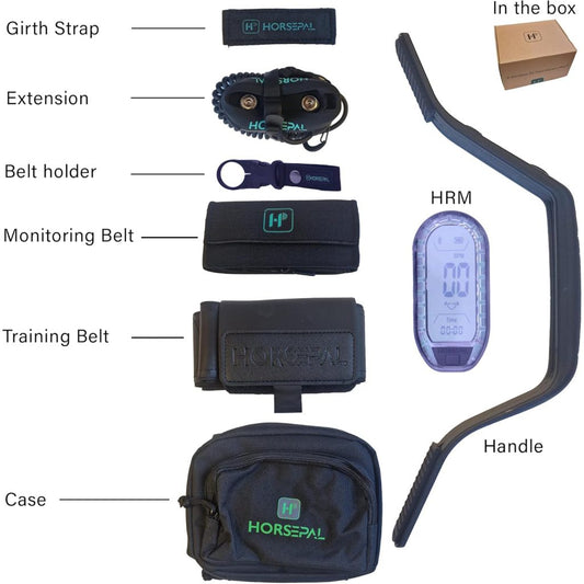 Horsepal Heart Rate Monitor Training Kit