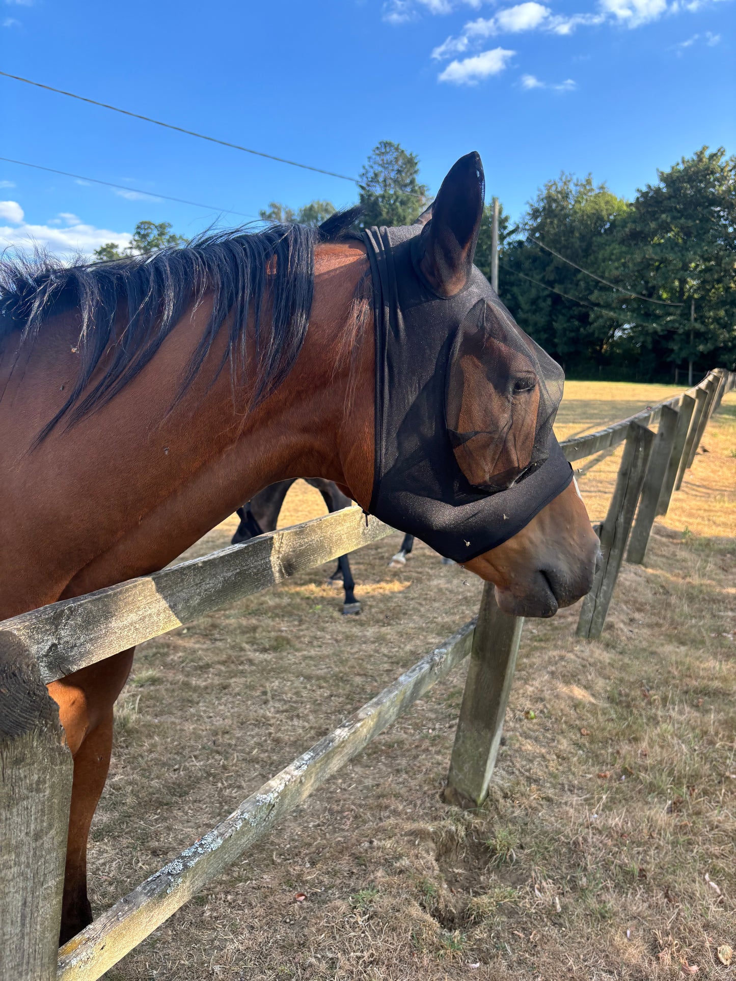 Zilco Lycra Fly Mask