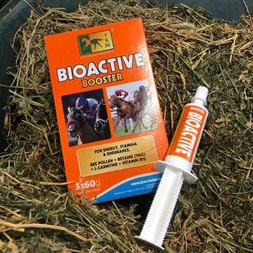 Equine Products UK- The Ride Day Bundle