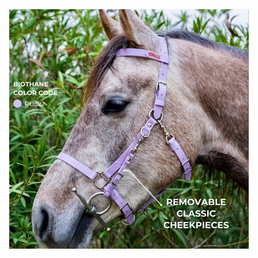 Equitime Handy Model Bridle