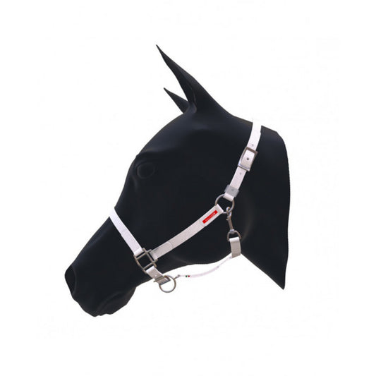 Equitime Biothane Halter