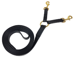 Double lead rope